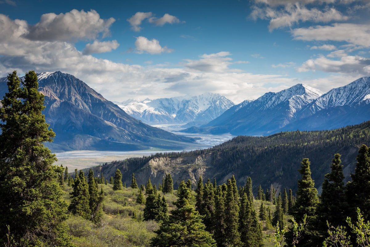 South Island nature background